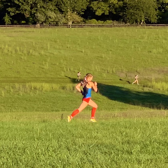 Meet your Posher, Bella - Picture 1 of 1